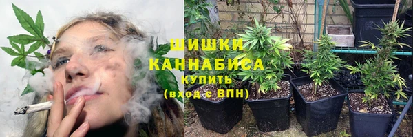 соль ск Бугульма