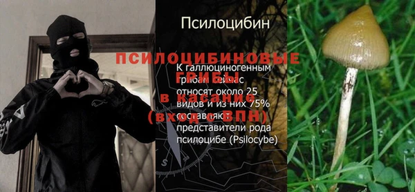 a pvp Бородино
