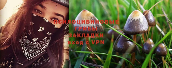 a pvp Бородино
