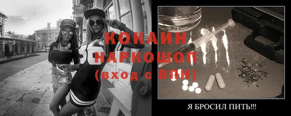 a pvp Бородино